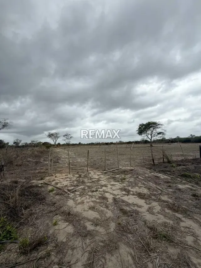 EN VENTA, TERRENO DE 3 HECTAREAS CON 5.212m2 . Ubicado en el sector de TIBANA - 3