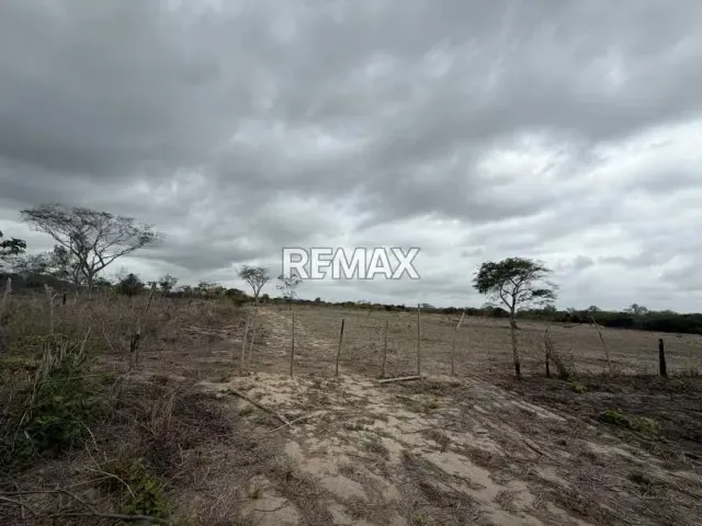 EN VENTA, TERRENO DE 3 HECTAREAS CON 5.212m2 . Ubicado en el sector de TIBANA - 4