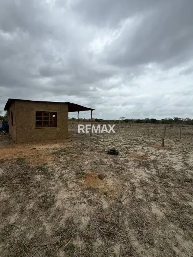 EN VENTA, TERRENO DE 3 HECTAREAS CON 5.212m2 . Ubicado en el sector de TIBANA - 5