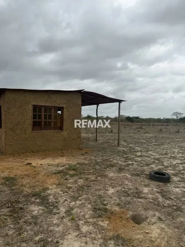 EN VENTA, TERRENO DE 3 HECTAREAS CON 5.212m2 . Ubicado en el sector de TIBANA - 6