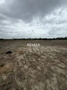 View 7