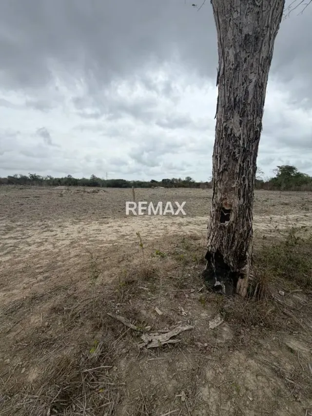 EN VENTA, TERRENO DE 3 HECTAREAS CON 5.212m2 . Ubicado en el sector de TIBANA - 8