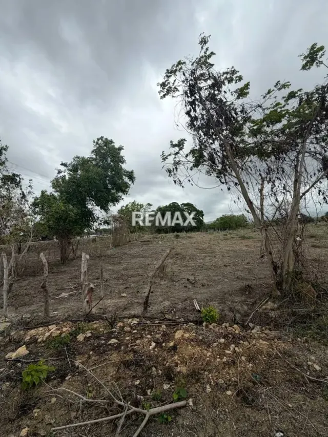 EN VENTA, TERRENO DE 3 HECTAREAS CON 5.212m2 . Ubicado en el sector de TIBANA - 9
