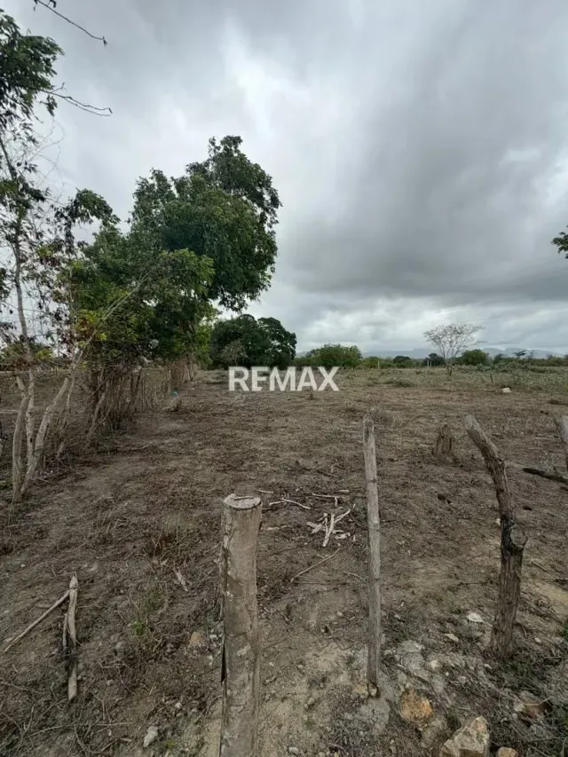 EN VENTA, TERRENO DE 3 HECTAREAS CON 5.212m2 . Ubicado en el sector de TIBANA - 10