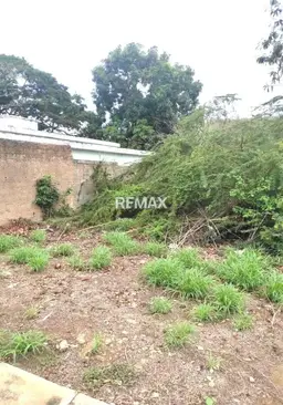 View 11
