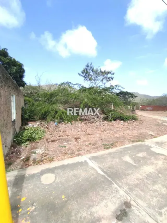 Parcela Comercial y Residencial en la Avenida Fucho Tovar LA ASUNCIÓN - 14