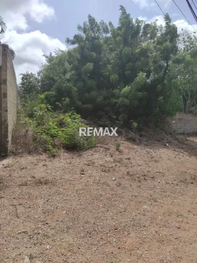 Parcela Comercial y Residencial en la Avenida Fucho Tovar LA ASUNCIÓN - 3