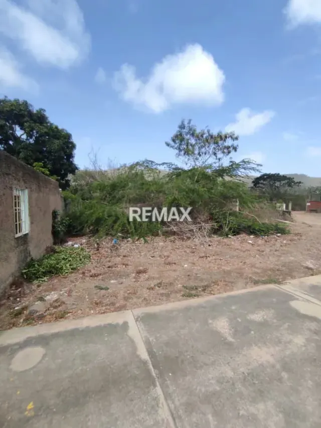 Parcela Comercial y Residencial en la Avenida Fucho Tovar LA ASUNCIÓN - 5
