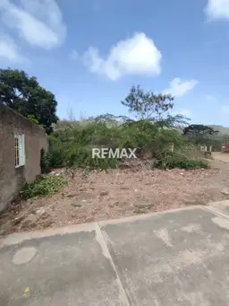 View 6
