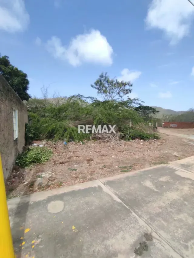 Parcela Comercial y Residencial en la Avenida Fucho Tovar LA ASUNCIÓN - 7