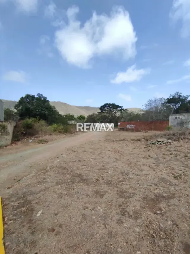 Parcela Comercial y Residencial en la Avenida Fucho Tovar LA ASUNCIÓN - 8