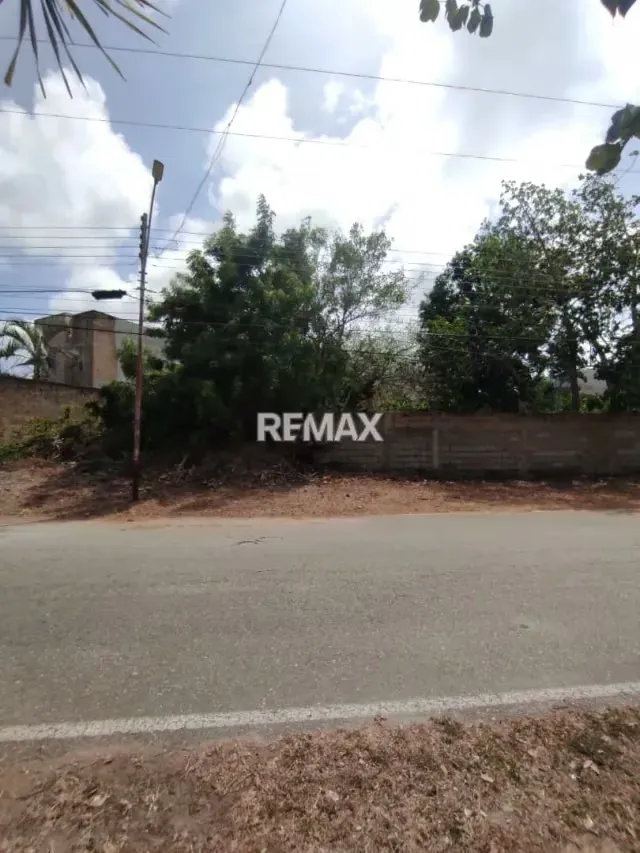 Parcela Comercial y Residencial en la Avenida Fucho Tovar LA ASUNCIÓN - 10