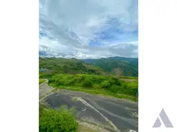 View 8