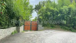 Vista 1