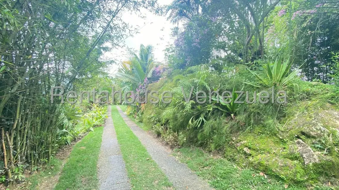 Casa (1 Nivel) en Venta en Sabaneta, Distrito Metropolitano - 2
