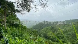 Vista 21