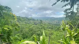 Vista 4