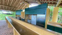 Vista 84