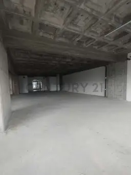 Vista 4