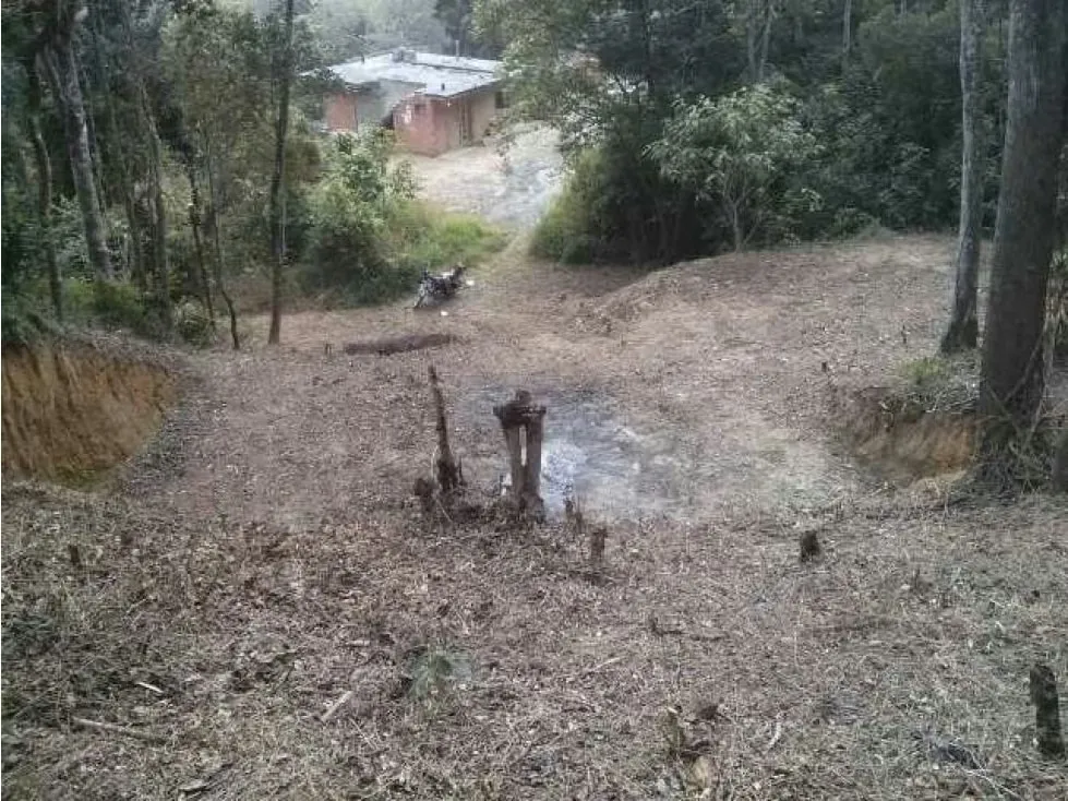 Oferta de amplio Terreno en venta en LA NIEBLA - 1984 MTS2 - 10