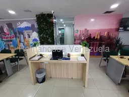 Vista 16