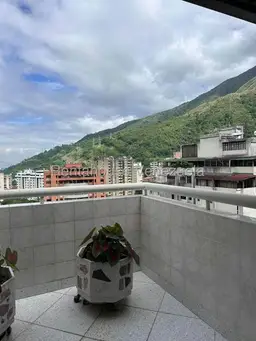 Vista 10