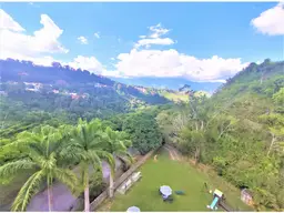 View 12