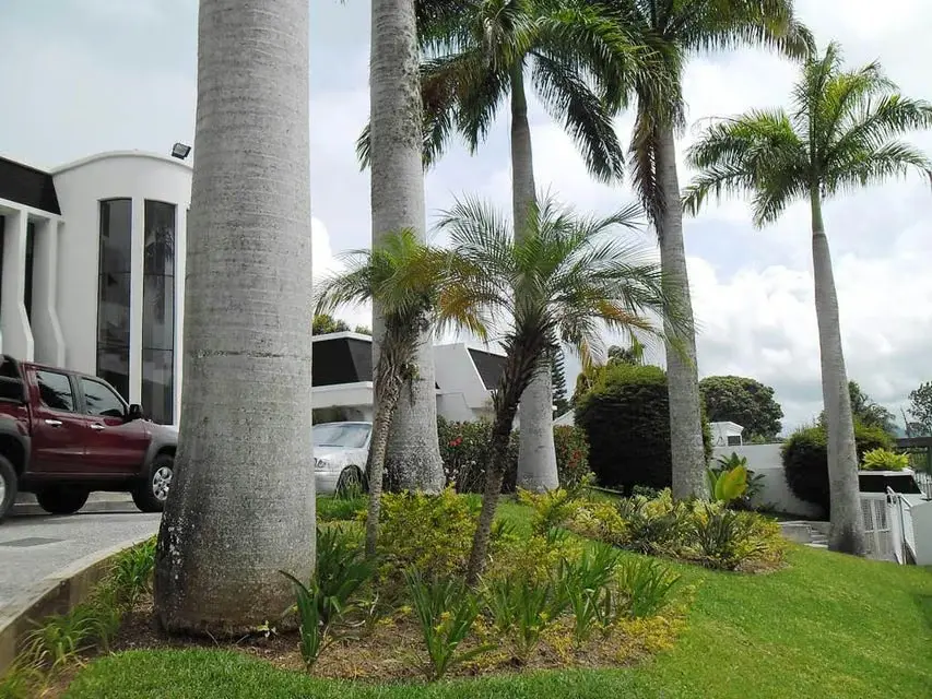 Casa (Multipes Niveles) en Venta en La Lagunita Country Club, Distrito Metropolitano - 12