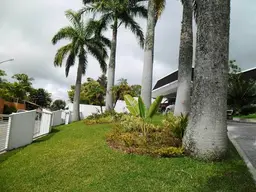Vista 15