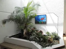 Vista 46