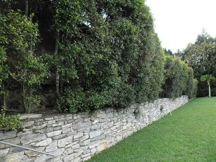 Casa (Multipes Niveles) en Venta en La Lagunita Country Club, Distrito Metropolitano - 86