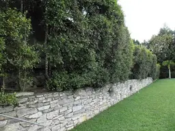 Vista 86