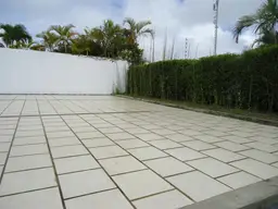Vista 99