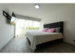 Vista 20