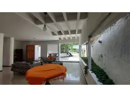 Vista 19