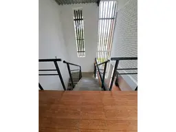 Vista 24