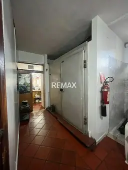Vista 6