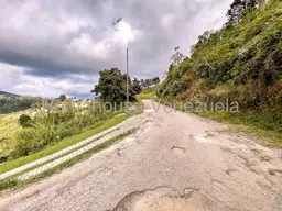 Vista 59