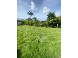 View 32