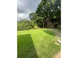 View 37