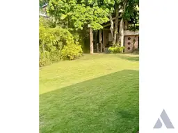 View 61