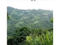 Vista 7