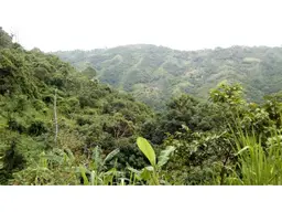 Vista 8