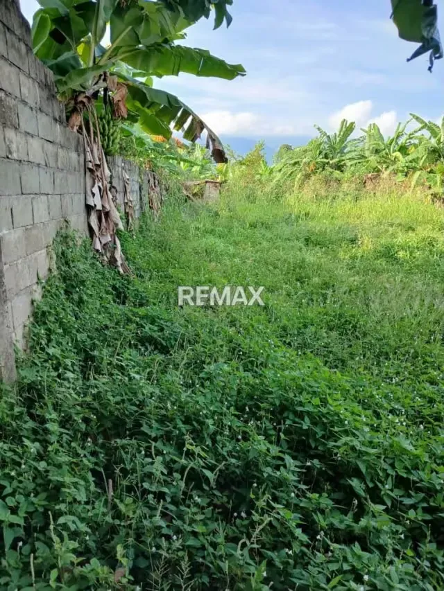 EN VENTA TERRENO EN SAN JUAN DE COLON