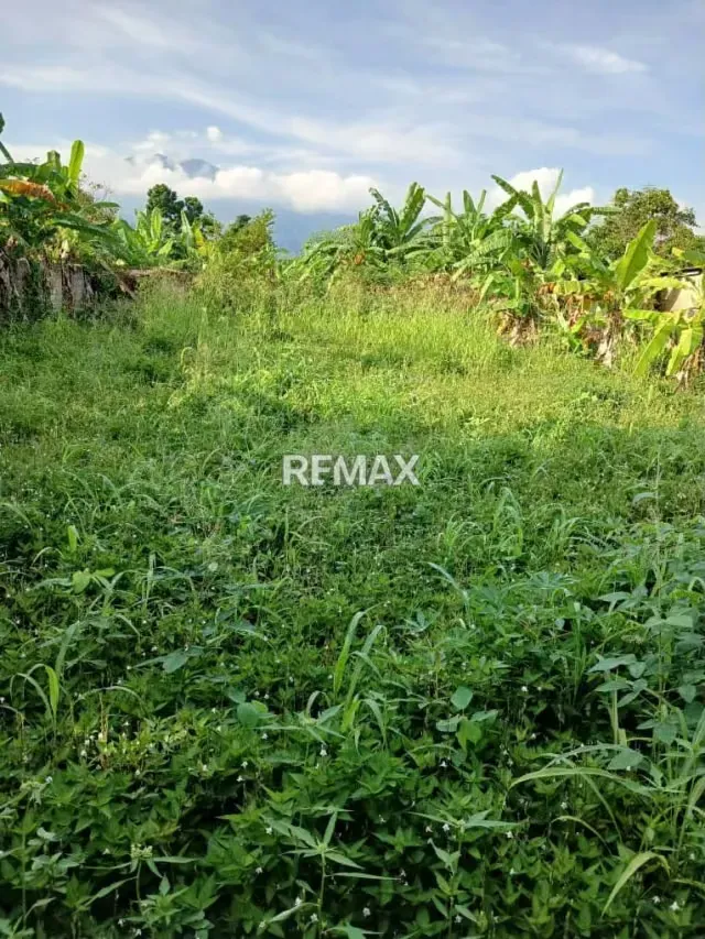 EN VENTA TERRENO EN SAN JUAN DE COLON - 2