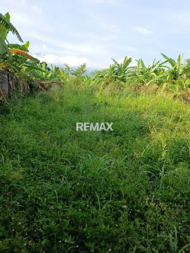 EN VENTA TERRENO EN SAN JUAN DE COLON - 3