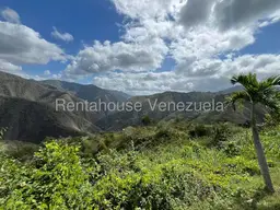 View 6