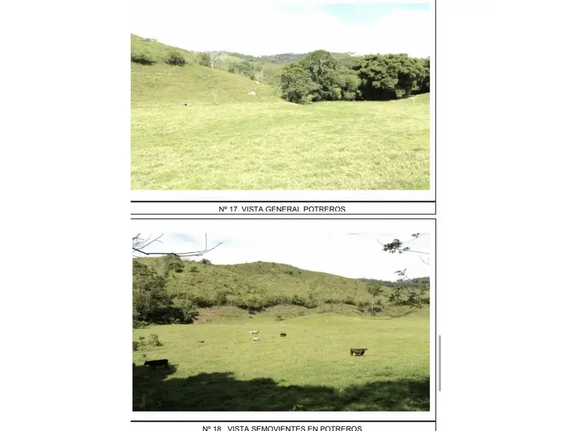 Nirgua. Estado Yaracuy. En venta Finca de 1000 hectáreas