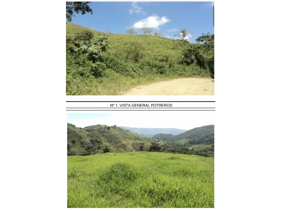 Nirgua. Estado Yaracuy. En venta Finca de 1000 hectáreas - 3