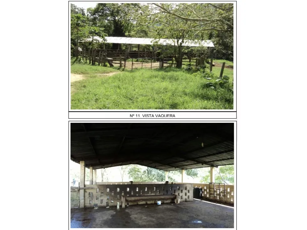 Nirgua. Estado Yaracuy. En venta Finca de 1000 hectáreas - 5